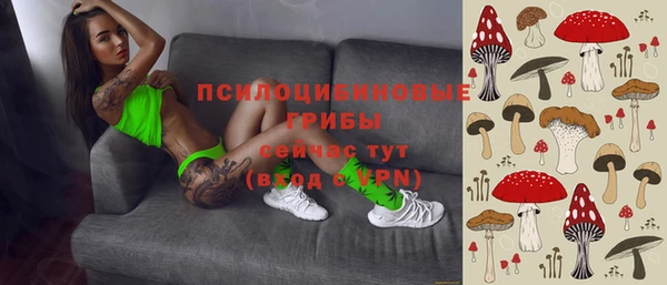 прущая мука Касимов