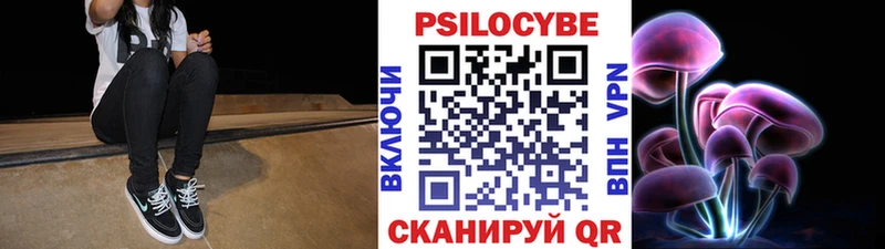 Купить где  Вытегра  Псилоцибиновые грибы мицелий 