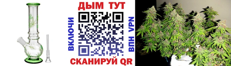 Конопля индика  Купить где  Вытегра 